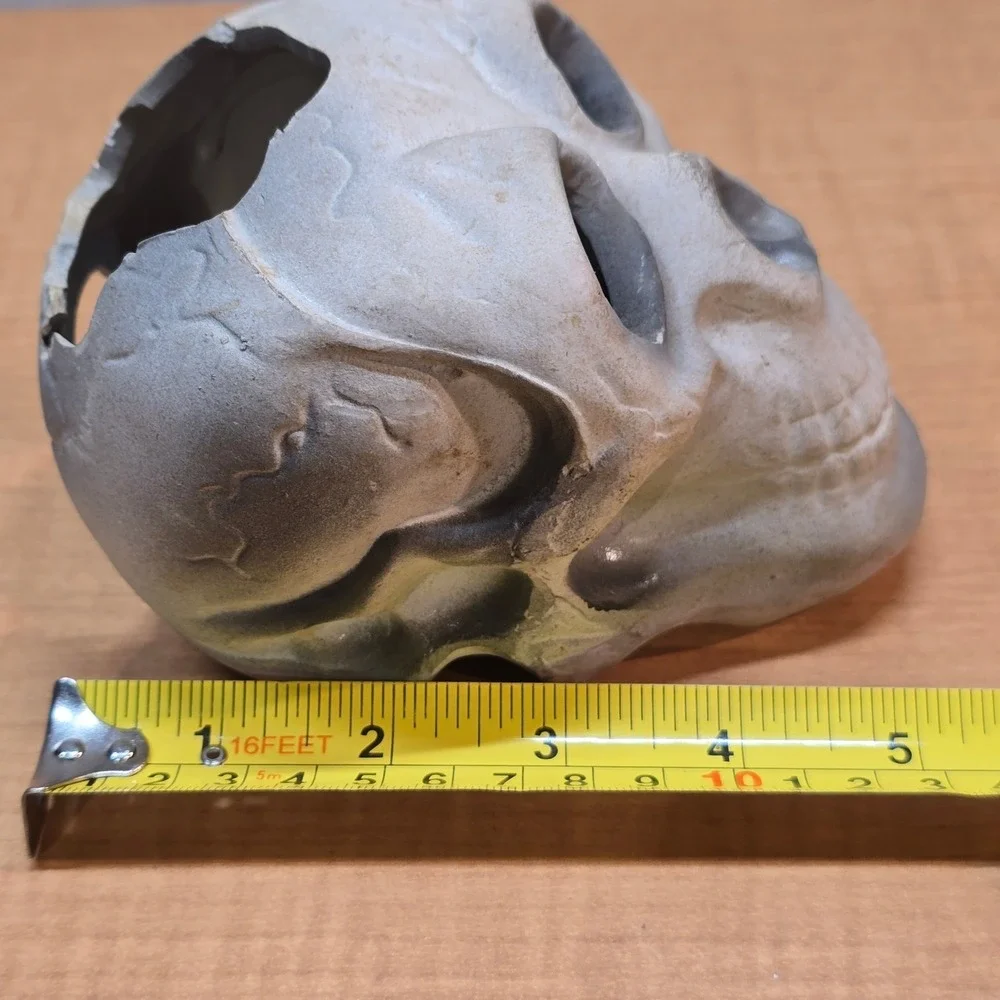 Plastic Human Skull Small 5